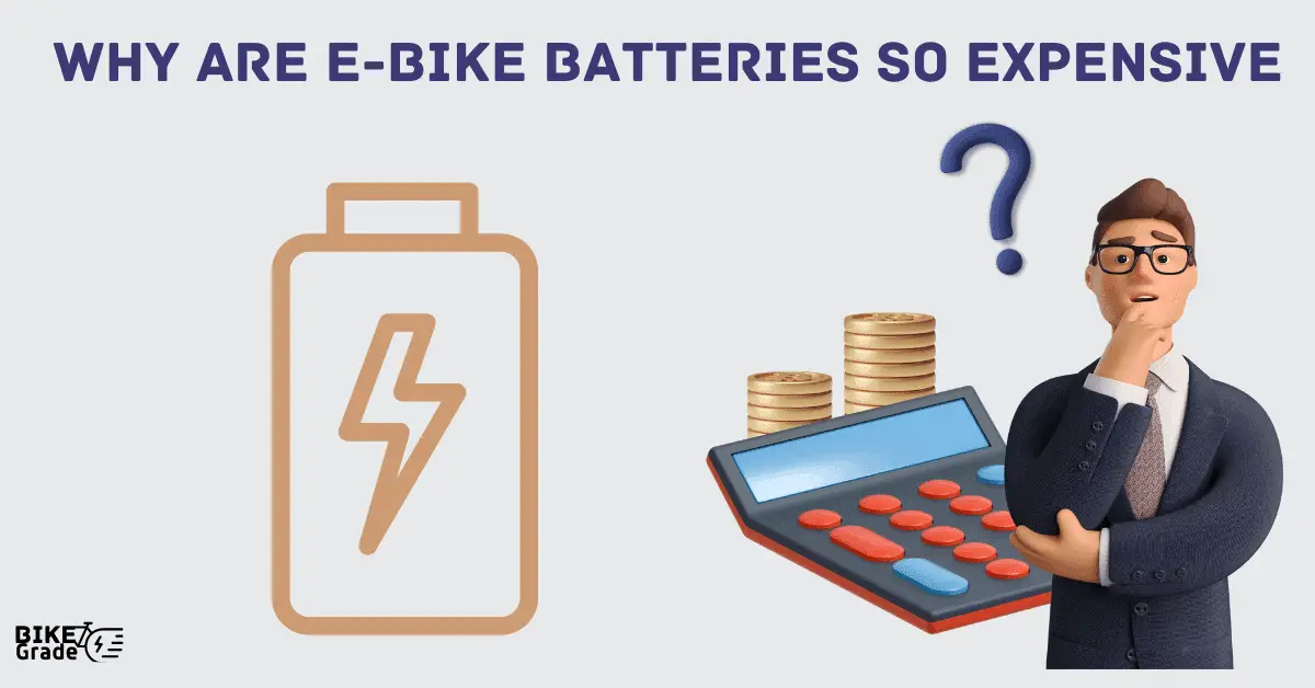 Why Are E bike Batteries So Expensive