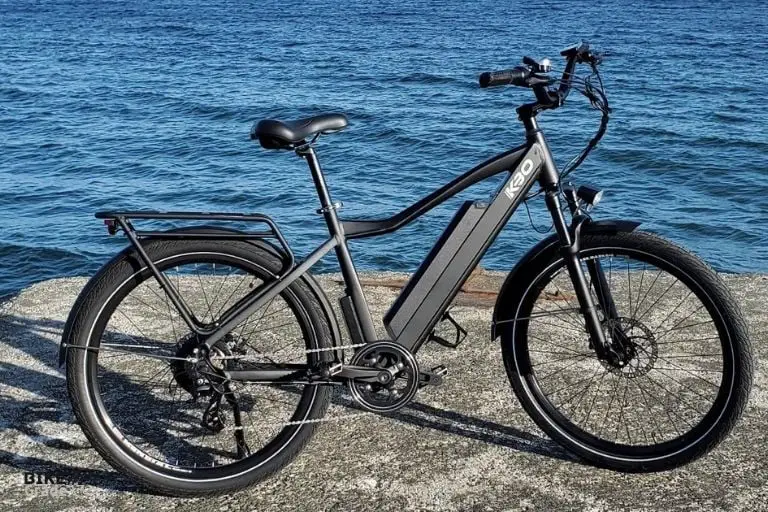Are electric bikes the future for all