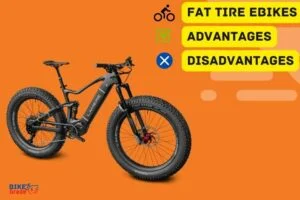 Pros And Cons Of Fat Tire E-bikes