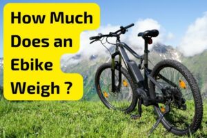 How Much Does an Ebike Weigh